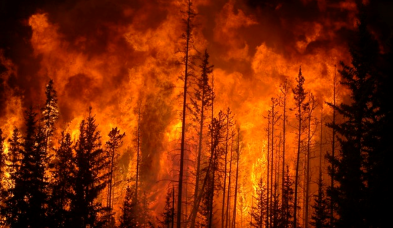 fire2.png