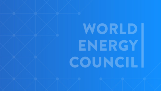 Energy in Progress or Regress?&nbsp; 