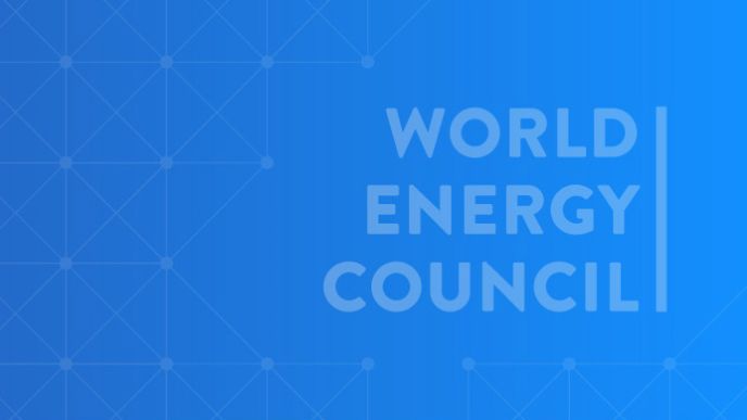 World Energy Council Announces 2026 Global Future Energy Leaders Cohort  - News & Views