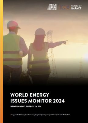 India World Energy Issues Monitor 2024 Country Commentary
