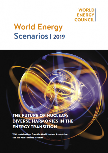 The Future of Nuclear: Diverse Harmonies In the Energy Transition